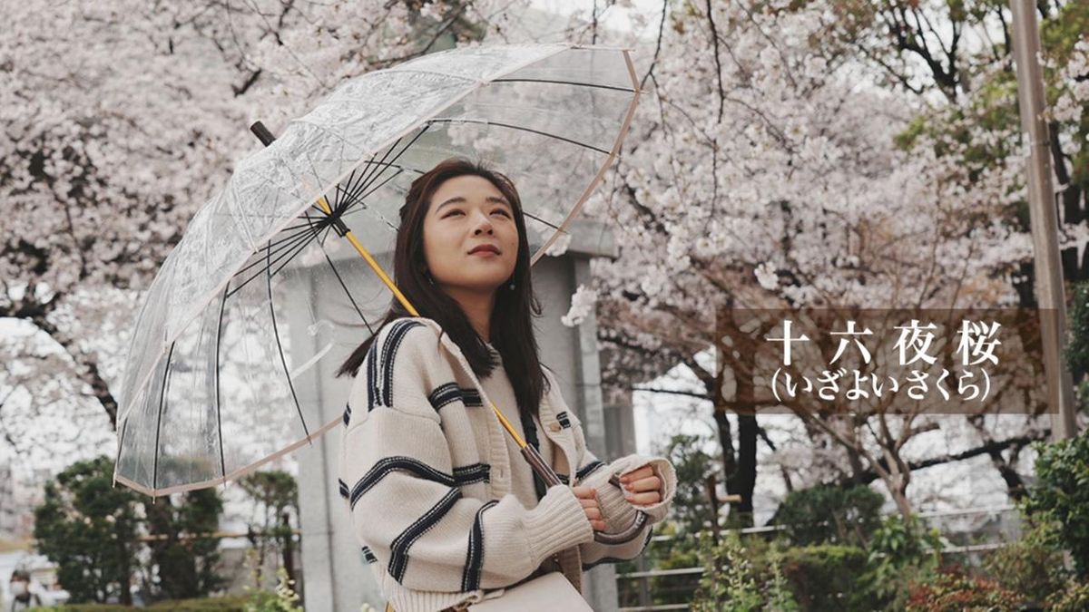 美品 PRADA プラダ 軽量◎ 中綿 キルティング ロゴプレート（1040 90