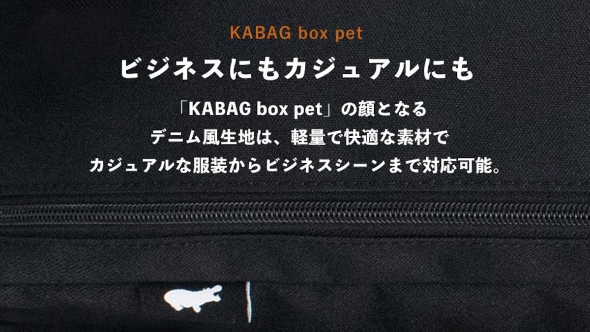 探し物が一目で見つかる”時短リュック”KABAG box pet｜無駄な時間を 